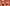 scrolling text